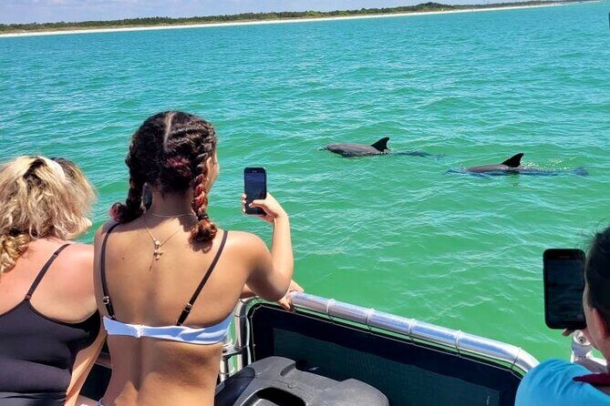 2.5 Hour Shell Key Island Adventure Including Dolphins And Shells - Detailed Itinerary: What to Expect