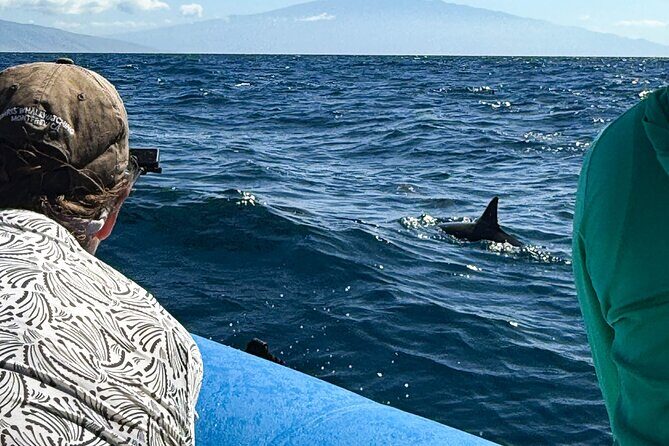 2 Hour Maui Dolphin Watch Sightsee Raft Tour (Semi-Private) - The Itinerary: A Closer Look