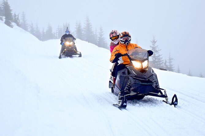 2 Hour Wilderness Adventure Snowmobile Tour in Whistler - Why Choose This Tour?