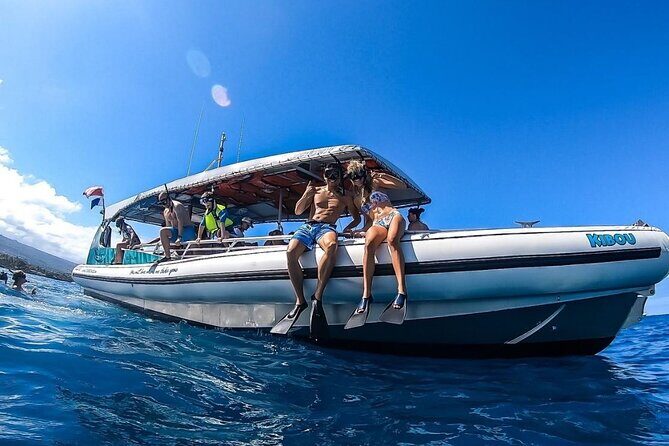 3 Hour Big Island Dolphin Watch Boat Tour, Snorkeling & BBQ Lunch - Final Thoughts: Is This the Right Tour for You?