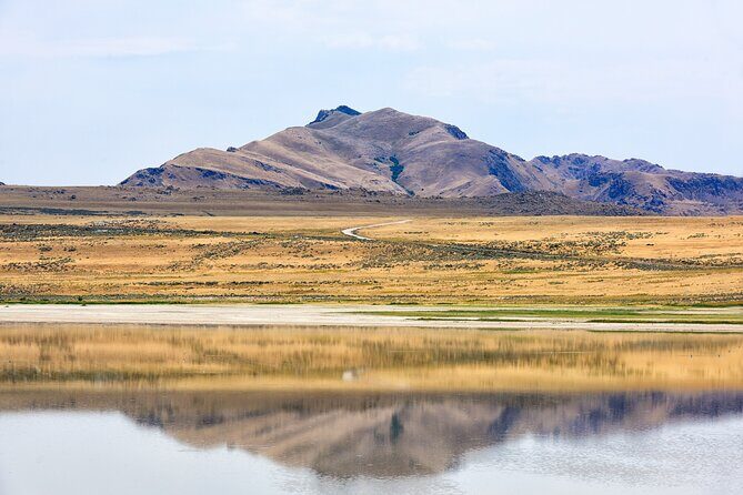 Antelope Island Wildlife Expedition Great Salt Lake Adventure - Authentic Experiences and Hidden Gems