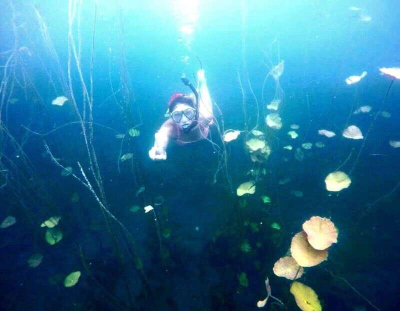 Bacalar: Magnificent Bacalar Lagoon Exclusive Boat Tour - The Value of a Guided Boat Tour