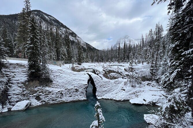 Banff, Yoho, and Icefield Parkway Private Tour - Why Choose This Tour?
