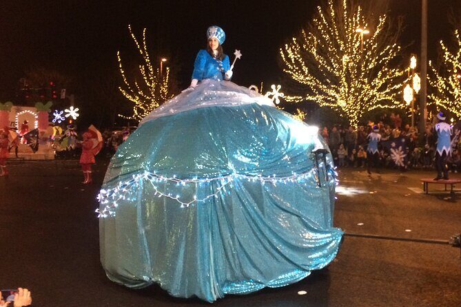 Christmas Lights and Snowflake Lane photo tour - The Value of the Tour