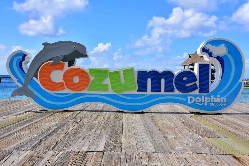 Cozumel: Dolphin Royal Swim and Manatee Interaction - What Past Travelers Say