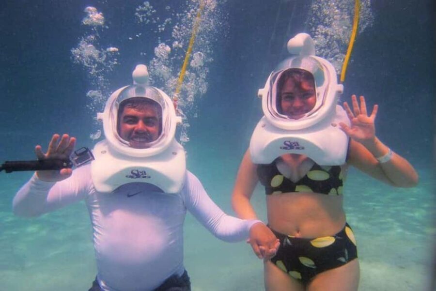 Cozumel: Sea Trek Adventure at Chankanaab National Park - What You Can Expect from the Tour