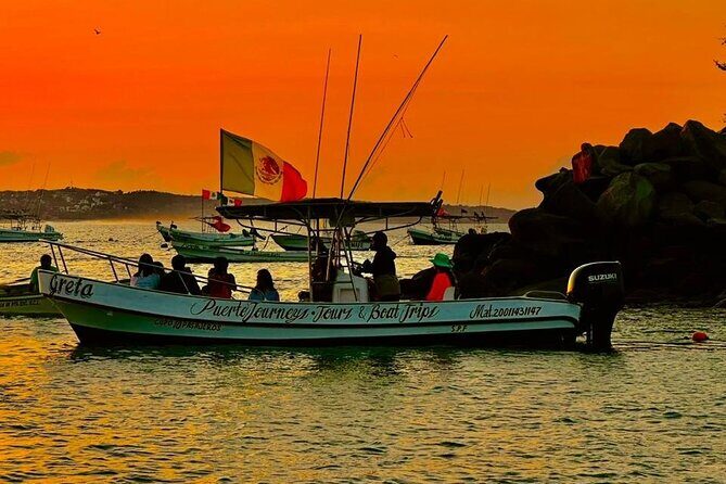 Dolphin and Whale Watching Boat Trip in Puerto Escondido - The Marine Wildlife Encounters