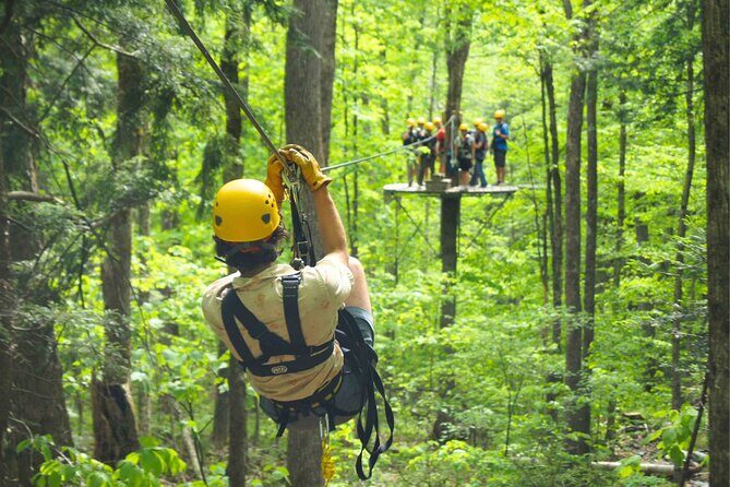 Enchanting Zipline , Camano Island and Deception Pass Tour - Authentic Feedback and What Travelers Say