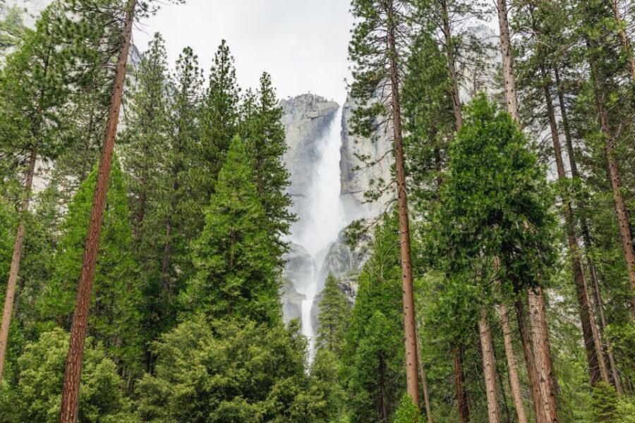 From San Francisco: Yosemite National Park Guided Day Trip - Analyzing the Value
