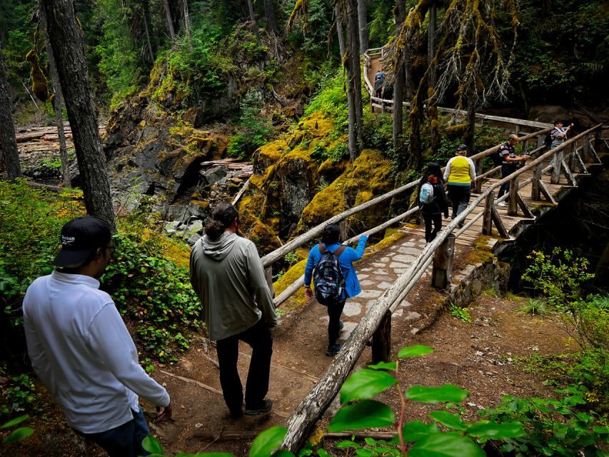 From Seattle: Mount Rainier National Park Guided Tour - Why Travelers Love This Tour