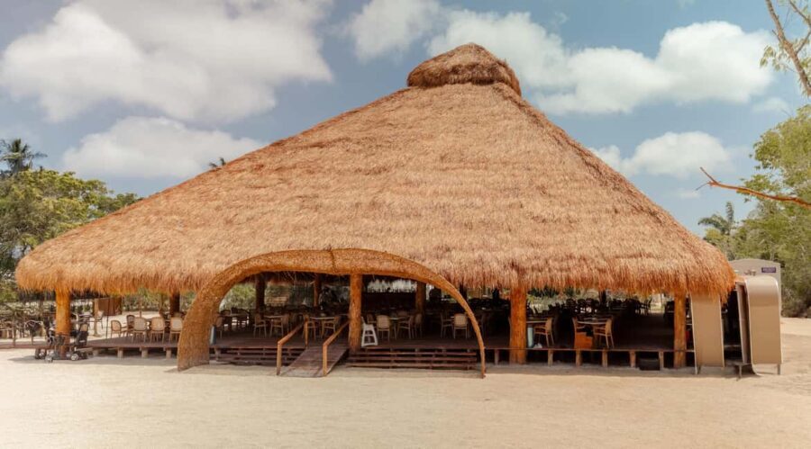 Isla Mia Roots with Tranfer - Who Should Consider This Tour?