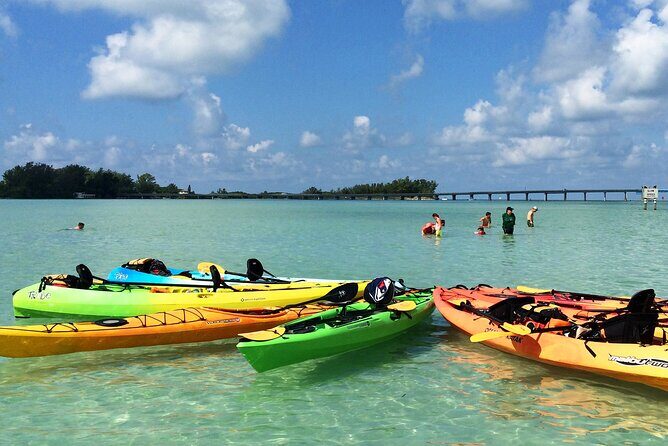 Kayaking with coastal wildlife in Sarasota Bay - Who Will Love This Tour?