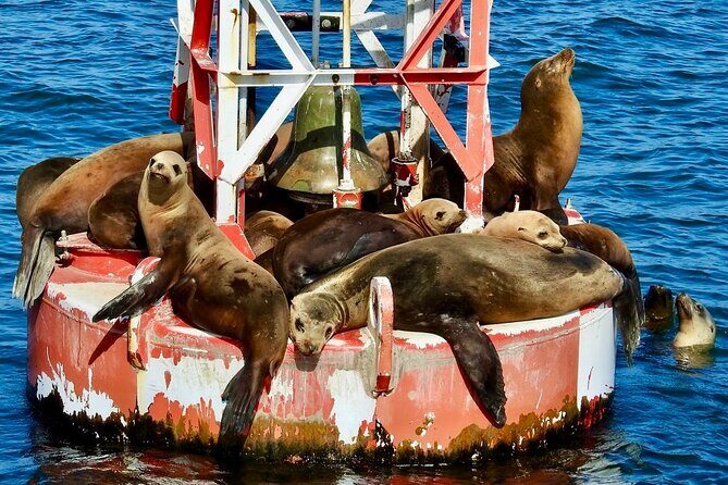 Lil Toot Santa Barbara Private Boat Tour - The Sum Up