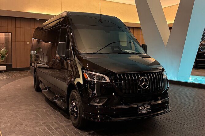 Luxury Sprinter Transfer Airport, Waikiki and Cruise Terminal - Who Will Love This Service?