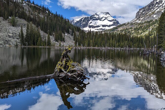 Mountaintop Hiking/Snowshoeing in the Bitterroot Mountains - Why This Tour Excels