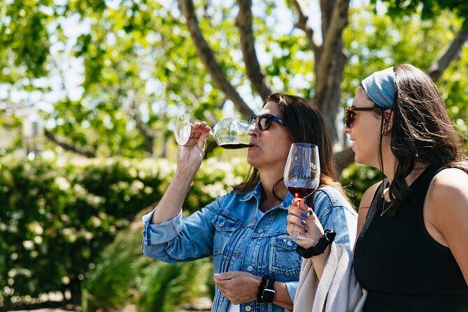 Napa Valley Wine and Food Tasting Tour from San Francisco - The Itinerary in Detail