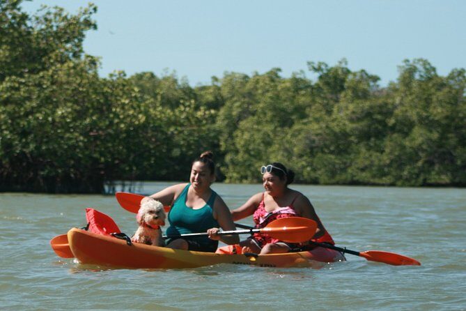Nauti Exposures - Guided kayak tour through the Mangroves - Practical Details: What You Need to Know