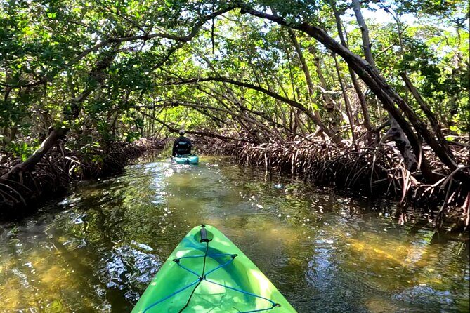 Pedal Kayak Mangrove Tunnel Tour in Bradenton - The Sum Up: Is It Worth It?