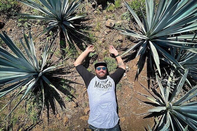 Private One Day Adventure Tour in Tequila and La Fortaleza Distillery - Transportation and Logistics