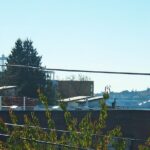 Private Seattle Cooking Class with a Chef in Her Home - An In-Depth Look at the Private Seattle Cooking Class Experience