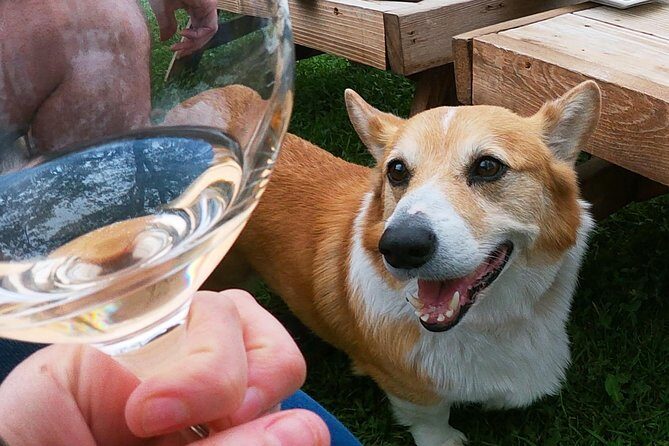 Private Wine Tour from the Santa Ynez Valley - Final Thoughts