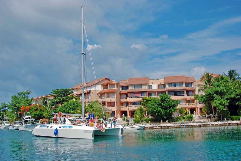 Puerto Aventuras: Dolphin Encounter with Buffet Lunch - Is It Good Value?
