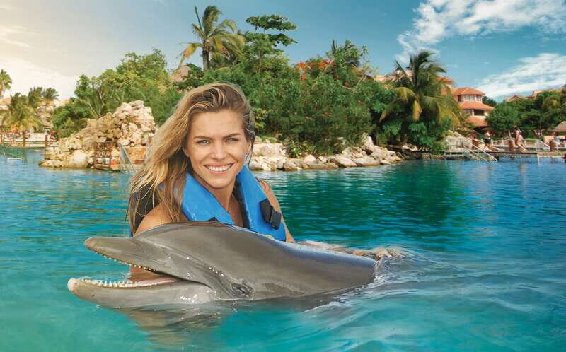 Puerto Aventuras: Dolphin Swim, Sea Lions, Manatees, & Lunch - The Price and Its Value