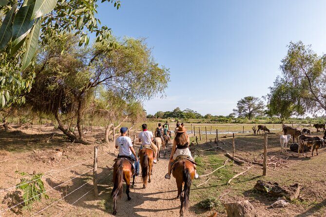 River Trail Horseback Riding Adventure - Who Should Consider This Tour?