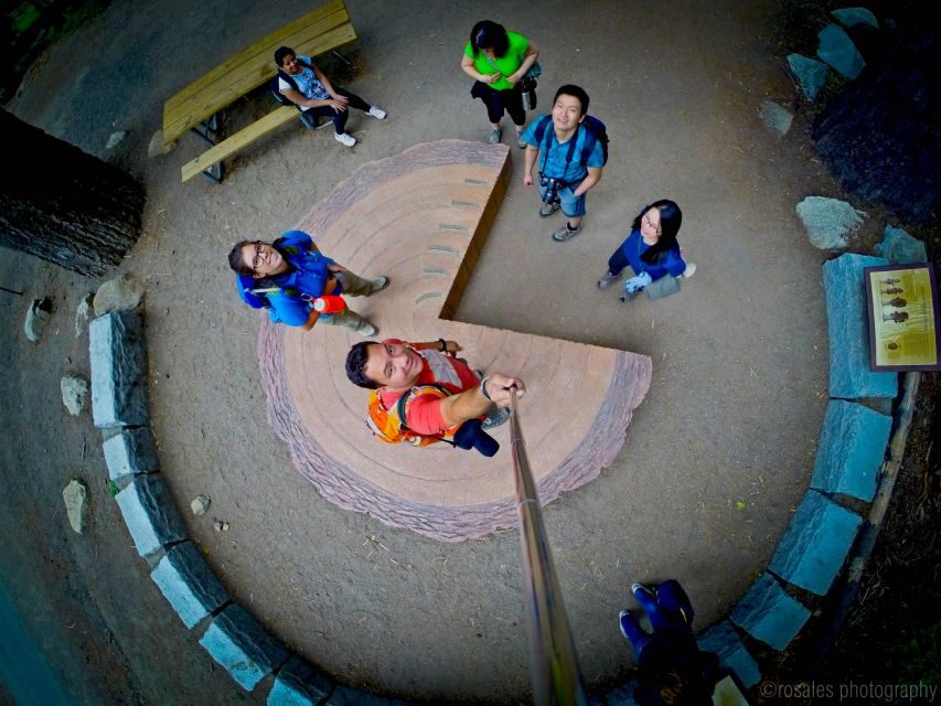 San Francisco: Day Trip to Yosemite with Giant Sequoias Hike - An In-Depth Look at the Yosemite Day Trip