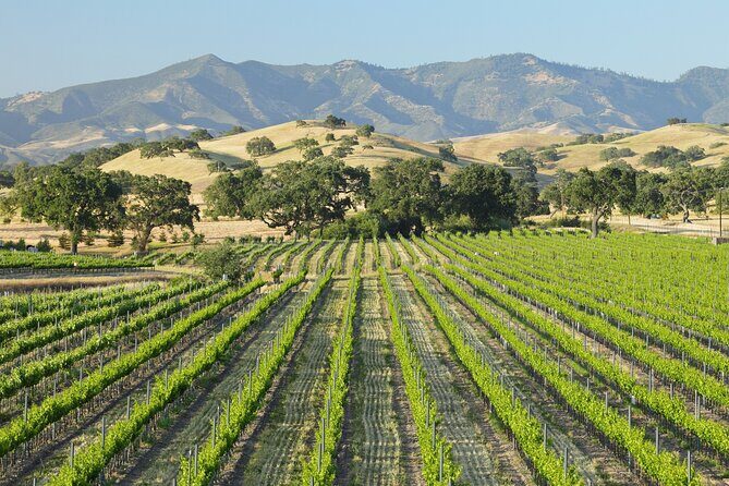 Self Guided Tour of Solvang and Santa Ynez Wine Country - What You Can Expect from the Rental