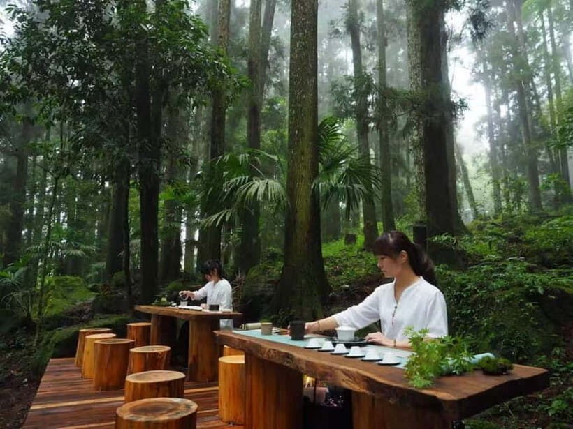 Taichung: Alishan National Scenic Area and Fenqihu Tour - What’s Included and What to Keep in Mind