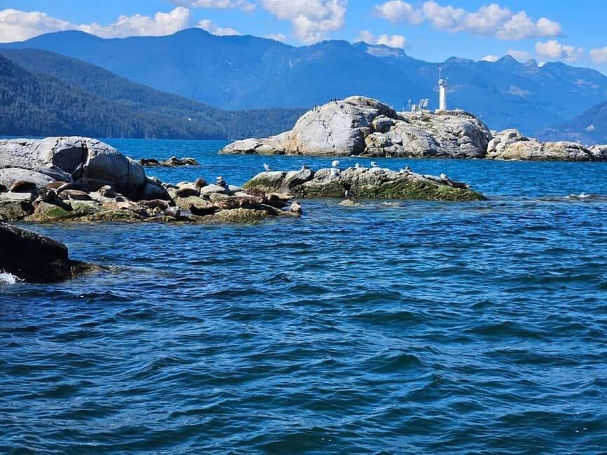 Vancouver: Snorkel, Kayak, and Seal Adventure Boat Tour - Authentic Insights from Travelers