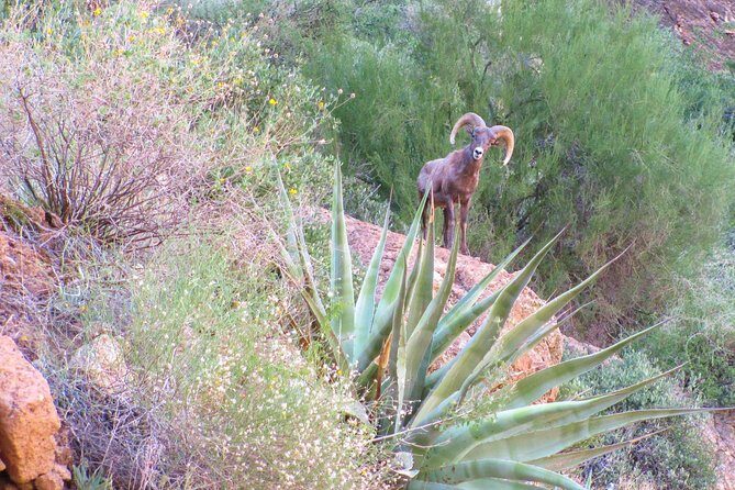 Wilderness Hiking Tours - Reviewing the Experience: Authentic Feedback