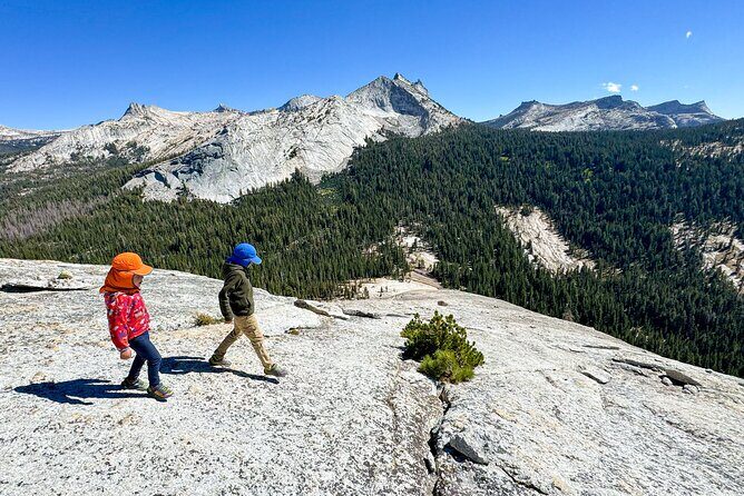 Wonders of Yosemite: Kid Friendly Private Tour - Who Should Consider This Tour?